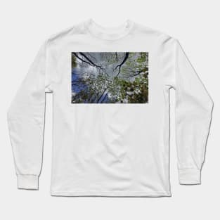 Tree canopy in the spring Long Sleeve T-Shirt